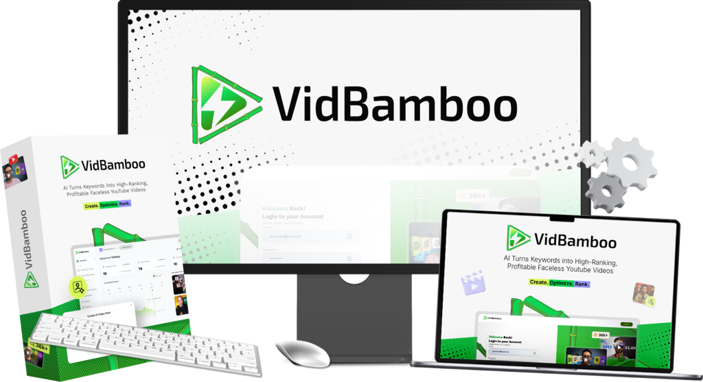 VidBamboo Review