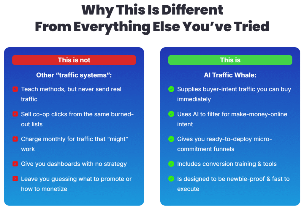 AI Traffic Whale Review