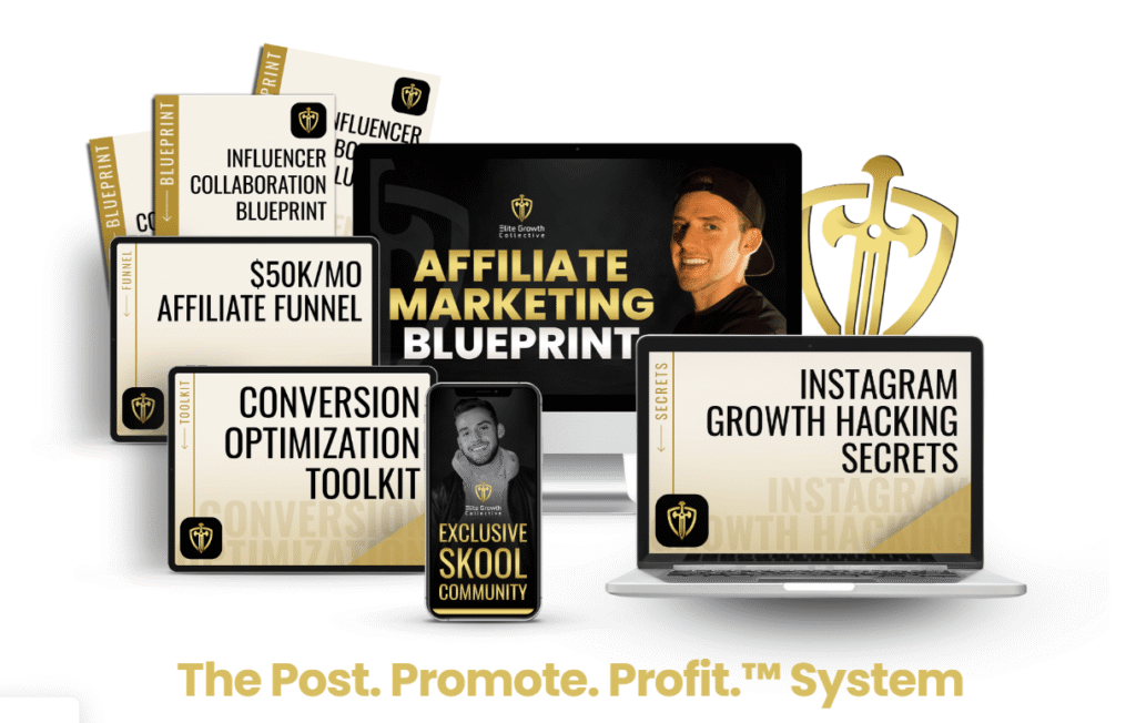 Post. Promote. Profit Review