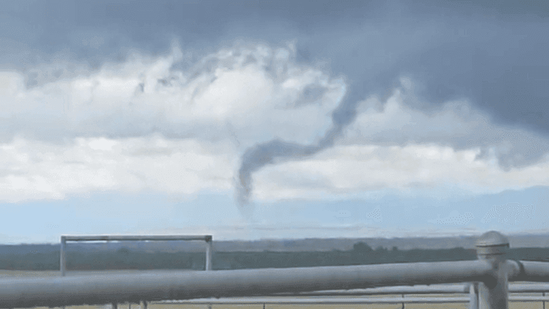 Cold Traffic Tornado Review